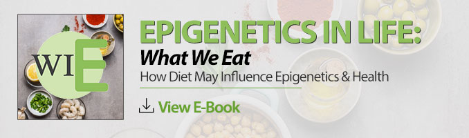 epigenetics diet