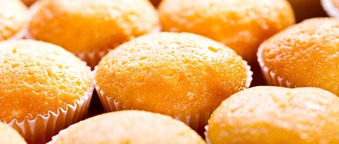 muffins-epigenetics epigenetic effect of polyunsaturated and saturated fat