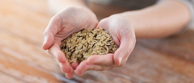 epigenetics-brown-rice epigenetics of brown rice