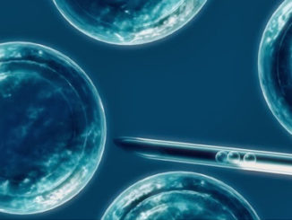 Epigenetic Barrier to Induced Pluripotent Stem Cells