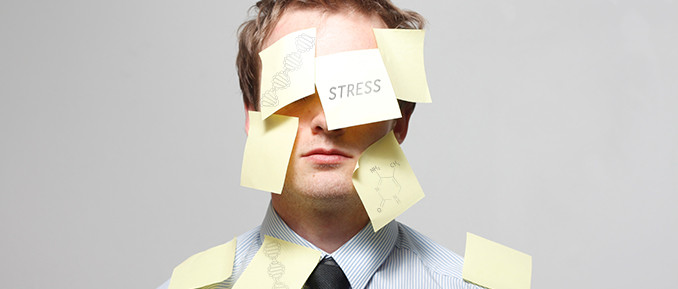 stress-epigenetics Stress and Epigenetics Affect Mental Health