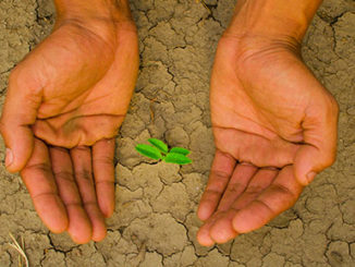 drought epigenetics vinegar