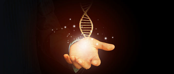 holding-dna-aging Exploring the Possibility of Extending Lifespan Using Epigenetic Drift