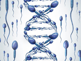 Father’s Exposure to Phthalates Impact Epigenetic Marks on Sperm DNA
