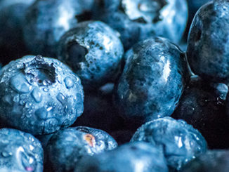 Eipgenetic Health Benefits of Eating Blueberries