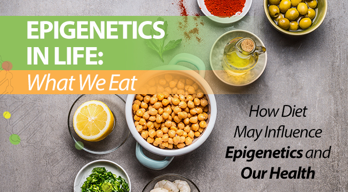 Epigenetics Diet E Book Epigenetics In Life What We Eat - 