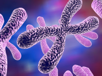 Chromosomes Representing Fragile X Syndrome