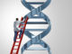 crispr-cas9-epigenome-editing