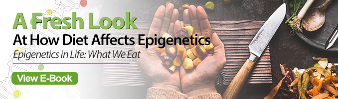 epigenetics diet