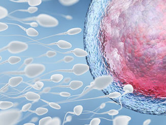 Egg Cells Need Histone Modification Epigenetic Mark to Stay Fresh Until Needed
