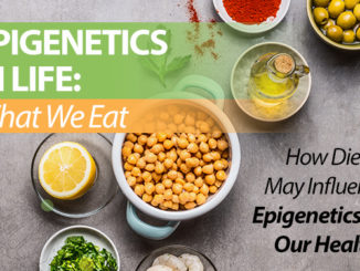 epigenetics diet ebook