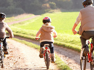 epigenetic-paternal-inheritance