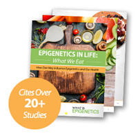 epigenetics diet book