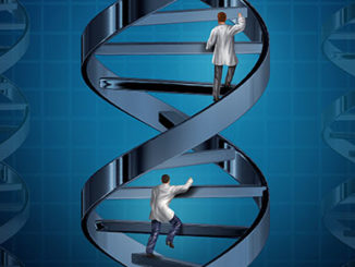 CRISPR Cas9 Epigenetic Editing