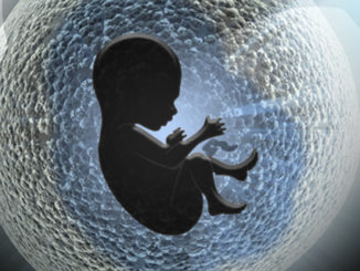 Baby In Womb Epigenetics