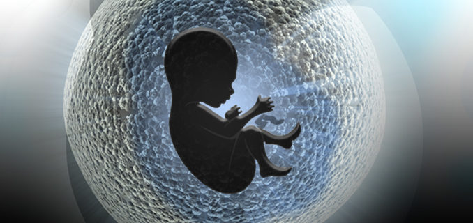womb-epigenetics Baby In Womb Epigenetics