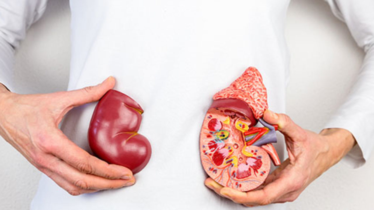 What You Need To Know To Become A Kidney Transplantation Donor