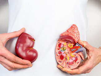 Woman Holding Kidneys Epigenetics