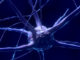 Neurons Epigenetics
