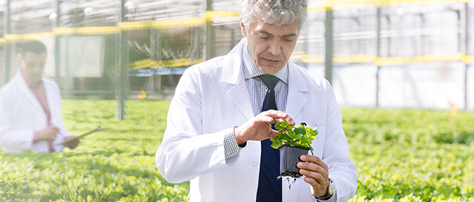 plant-damage-epigenetics