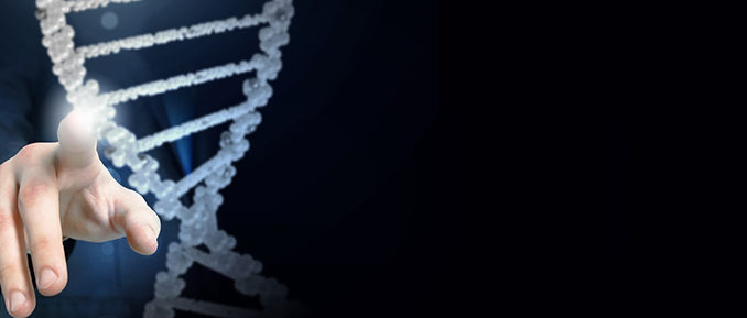 touching-chromatin-CRISPR