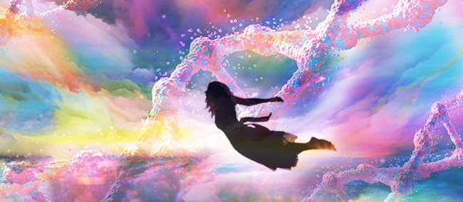 dream