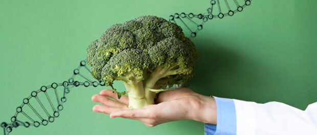broccoli-dna