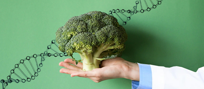 broccoli-dna