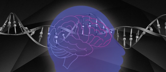 AD-brain