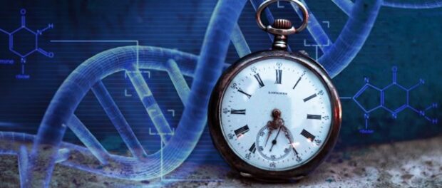 epigenetic-clock