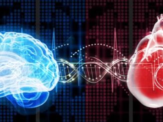 brain_dna_heart