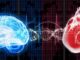 brain_dna_heart