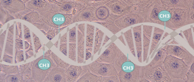 dna-methyl-skin